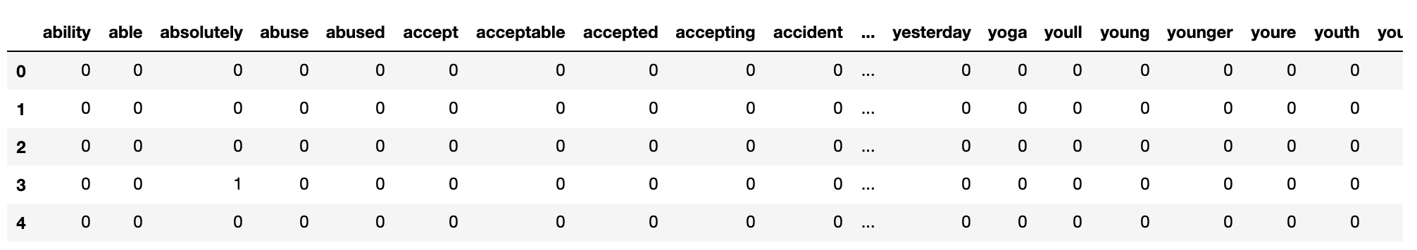 Sparse matrix containing unique word features